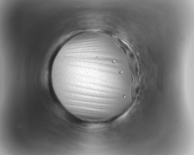 X0000088720342200706212024