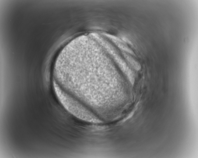 X0000088720343200706212024