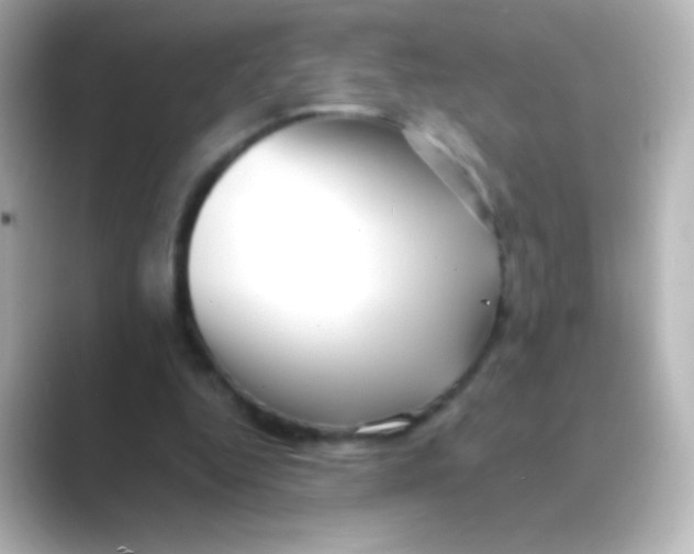 X0000088720344200706212024