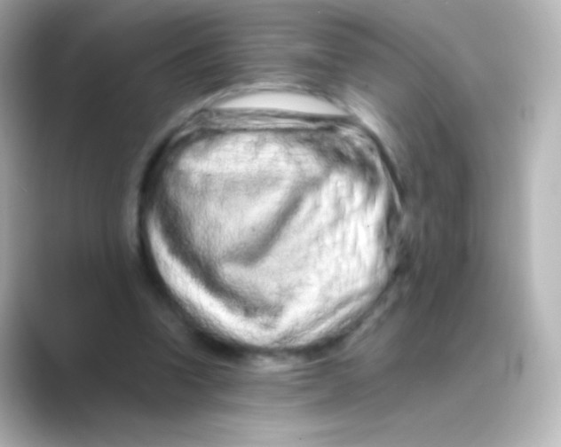 X0000088720346200706212024