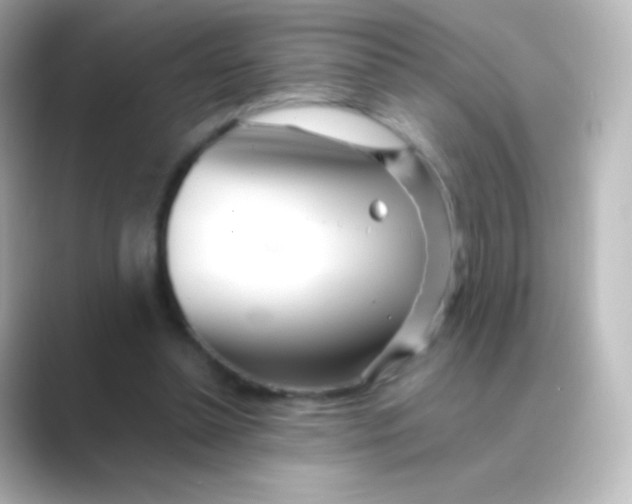 X0000088720348200706212024