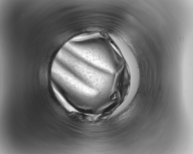 X0000088720349200706212024