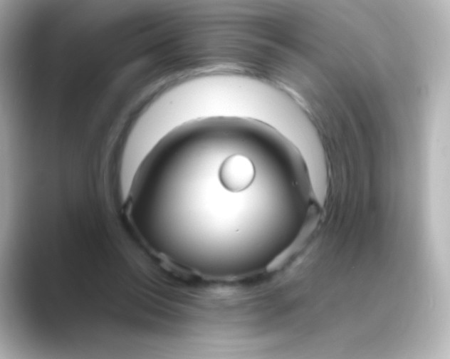 X0000088720350200706212024