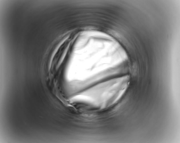 X0000088720351200706212025