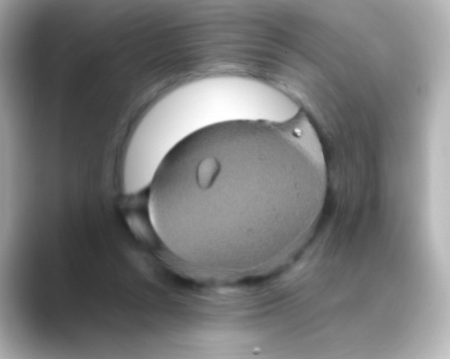 X0000088720352200706212025