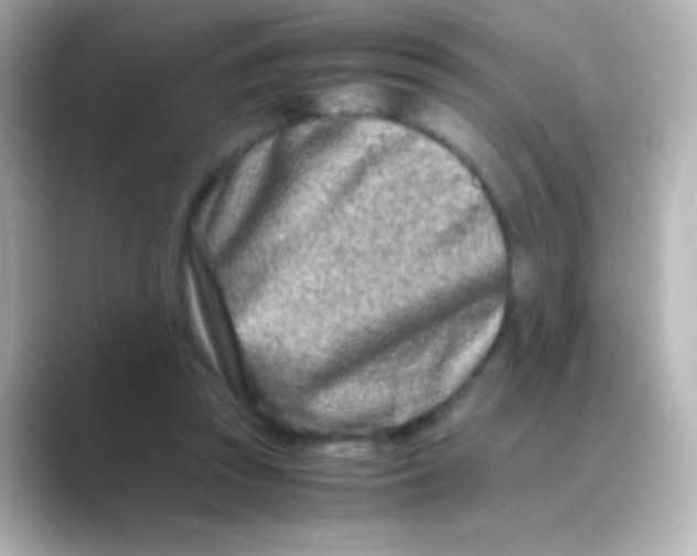 X0000088720353200706212025