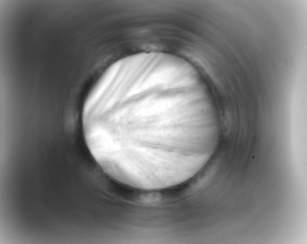 X0000088720355200706212025