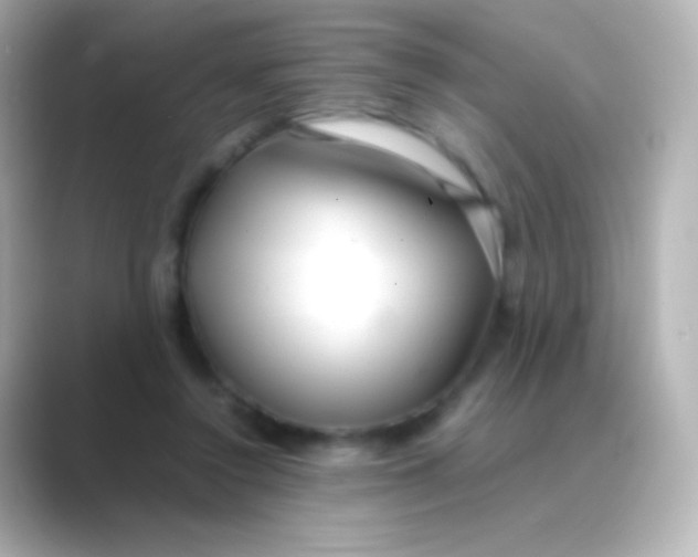 X0000088720356200706212025