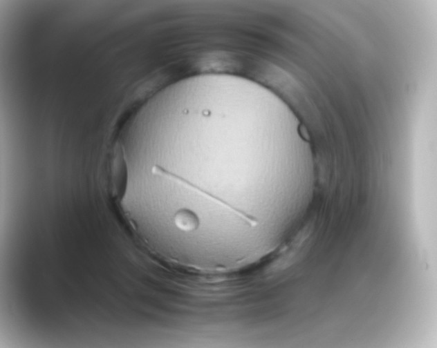 X0000088720357200706212025