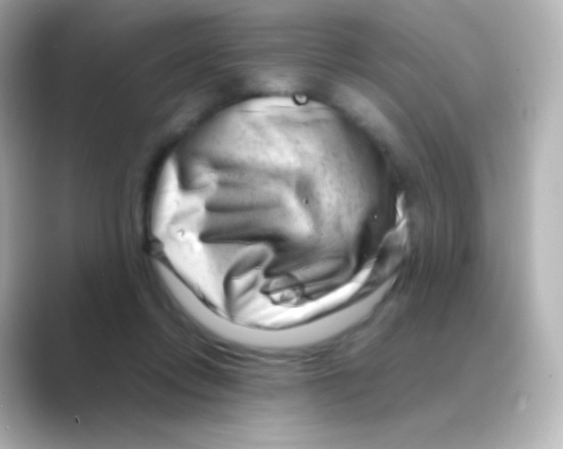 X0000088720358200706212025