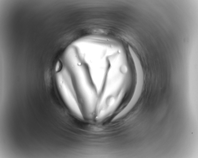 X0000088720359200706212025