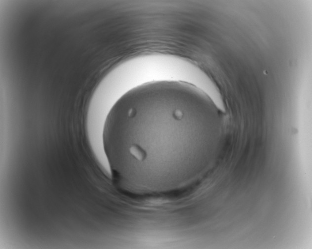 X0000088720360200706212025