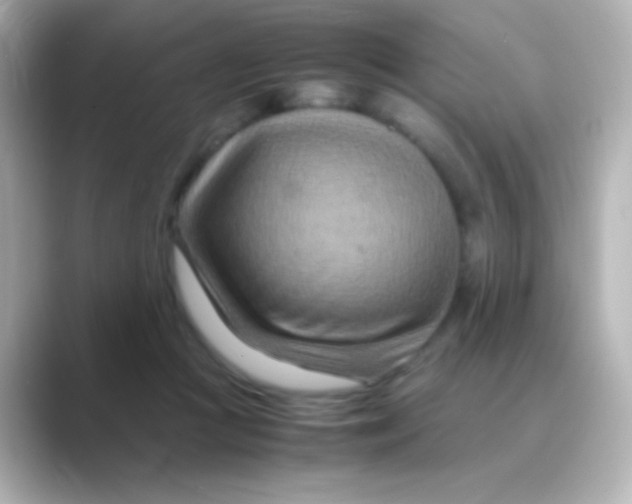 X0000088720361200706212025