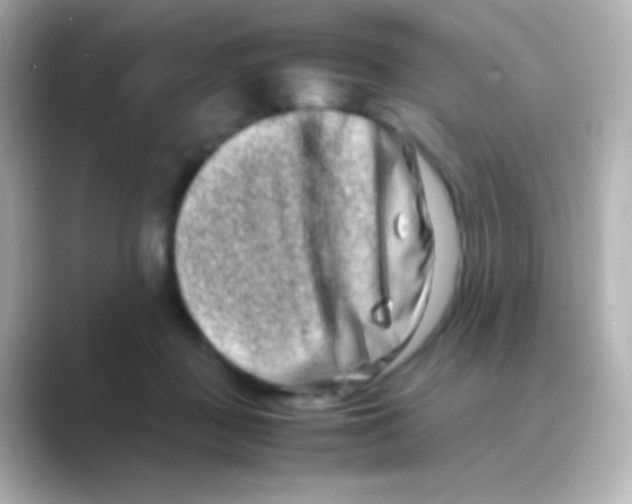 X0000088720363200706212025