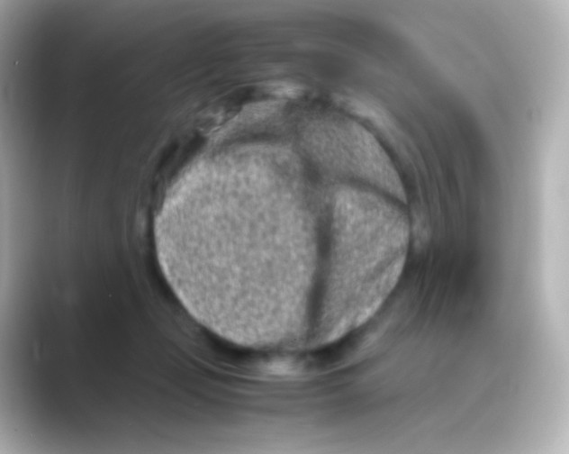 X0000088720365200706212025