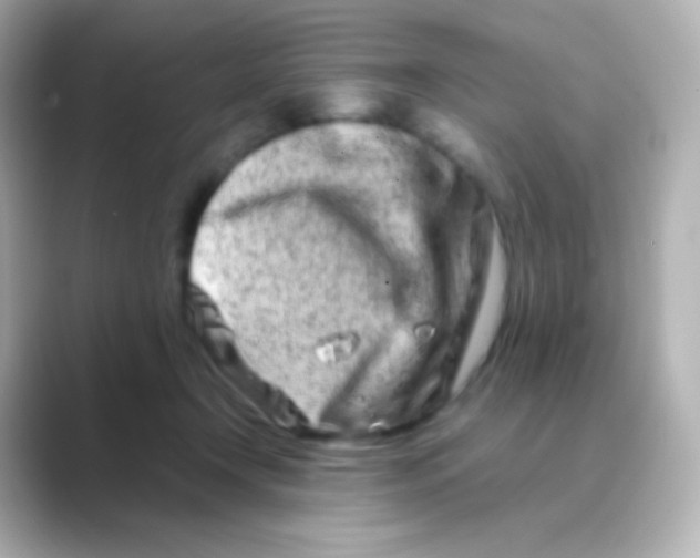 X0000088720366200706212025