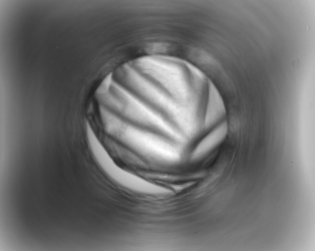 X0000088720367200706212025