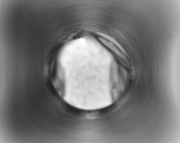 X0000088720368200706212025