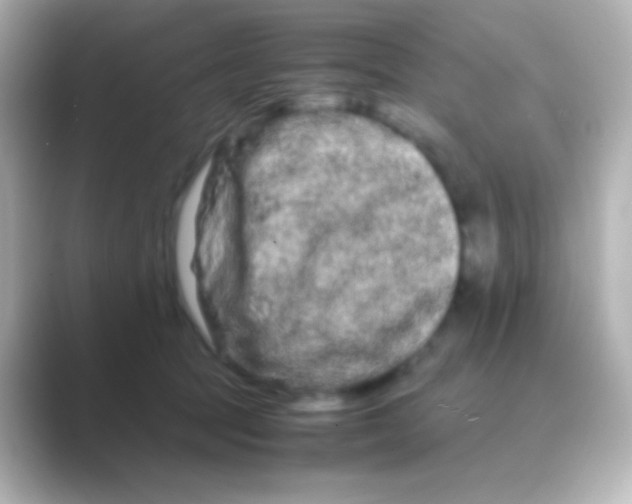 X0000088720369200706212025