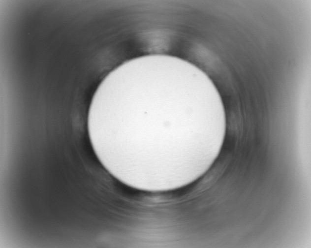 X0000088720370200706212025