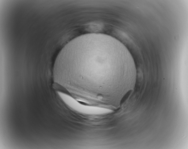 X0000088720371200706212025