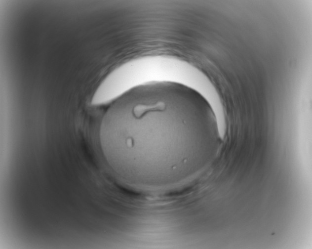 X0000088720372200706212025