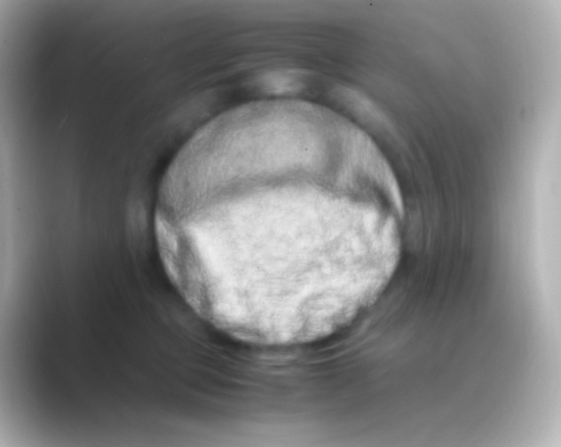 X0000088720373200706212025