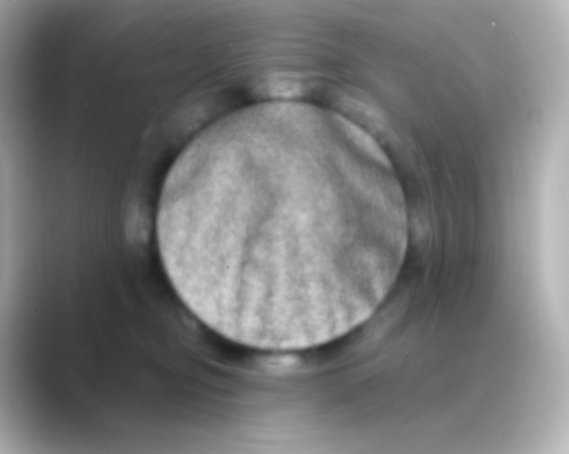 X0000088720374200706212025