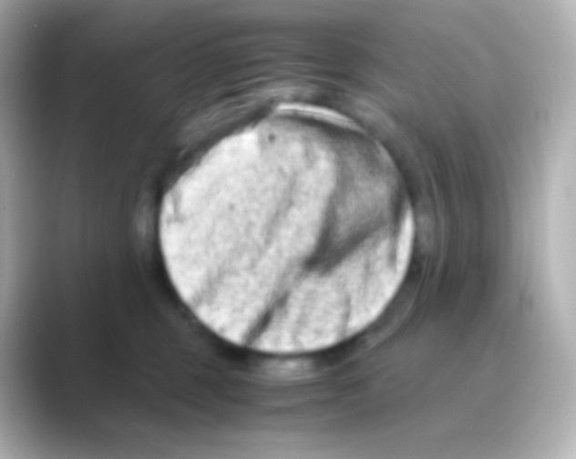 X0000088720375200706212025