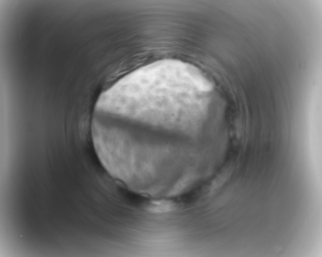 X0000088720376200706212025