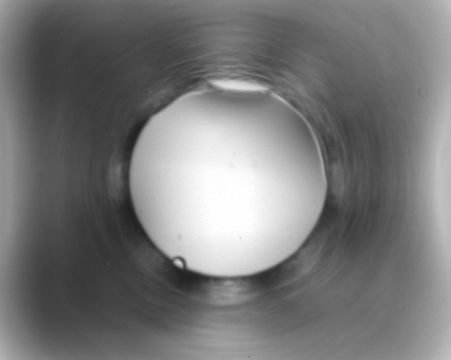 X0000088720378200706212025