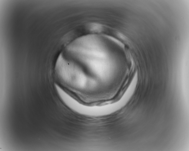 X0000088720379200706212025