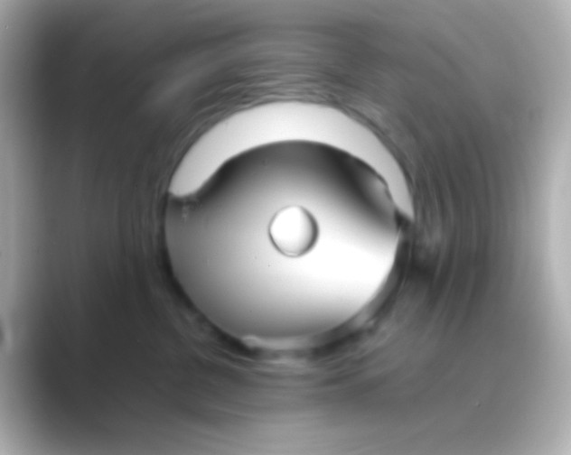 X0000088720380200706212025