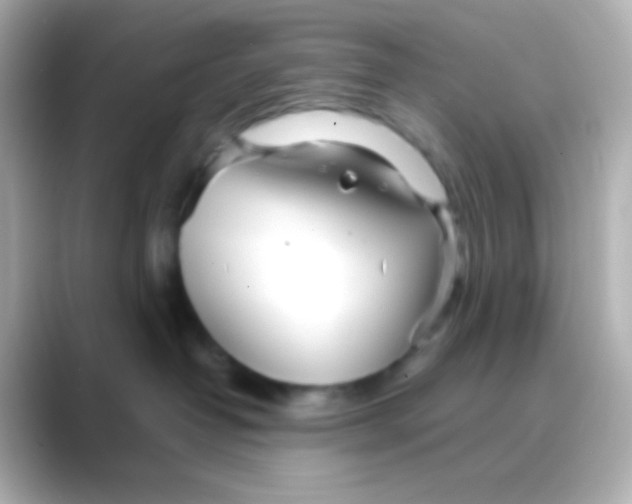 X0000088720382200706212025