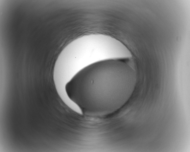 X0000088720384200706212025