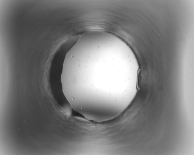 X0000088720385200706212024