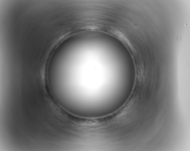 X0000088720386200706212024