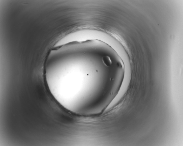 X0000088720389200706212024