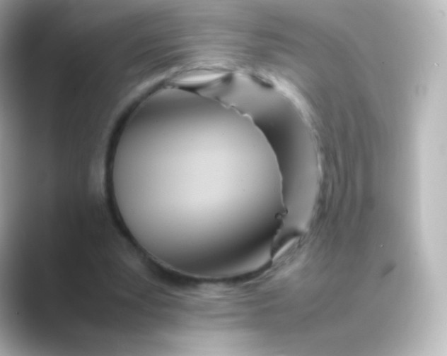 X0000088720391200706212024