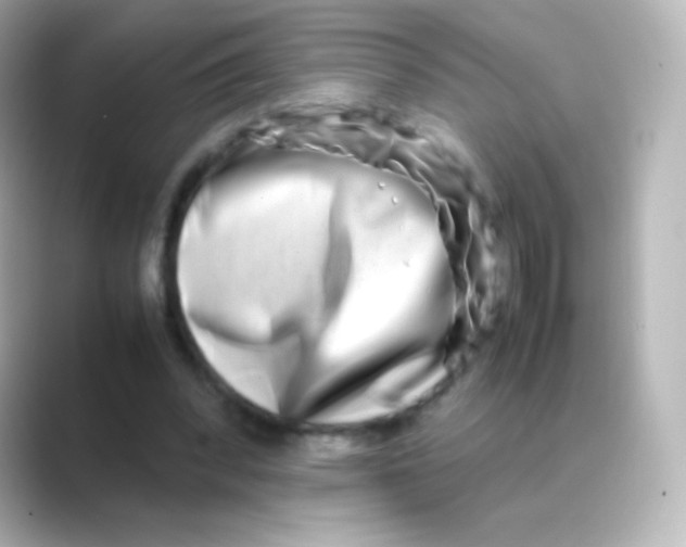 X0000088720392200706212024