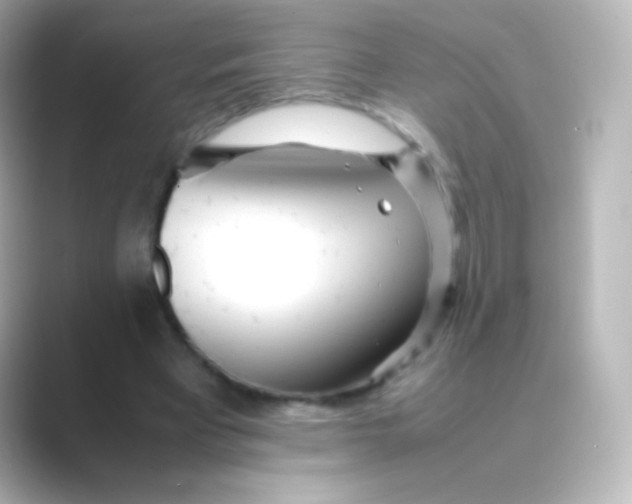 X0000088720393200706212024