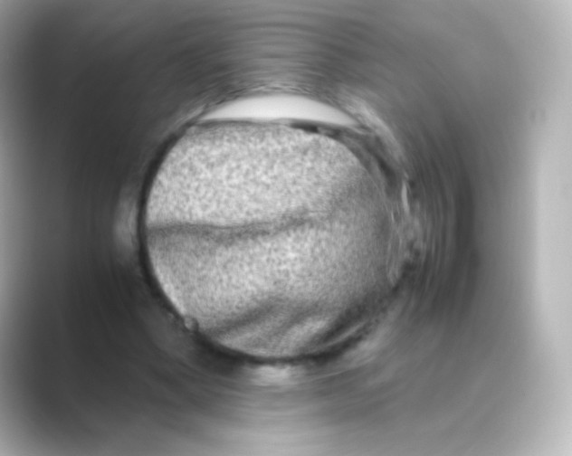 X0000088720394200706212024