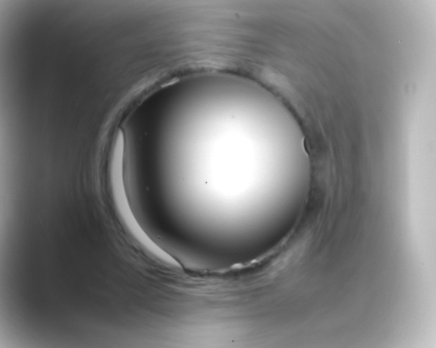 X0000088720395200706212024