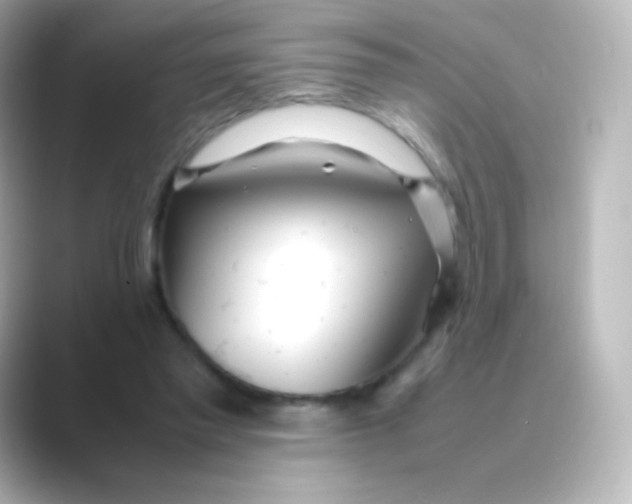 X0000088720397200706212024