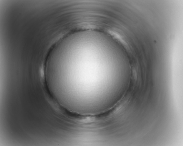 X0000088720398200706212024