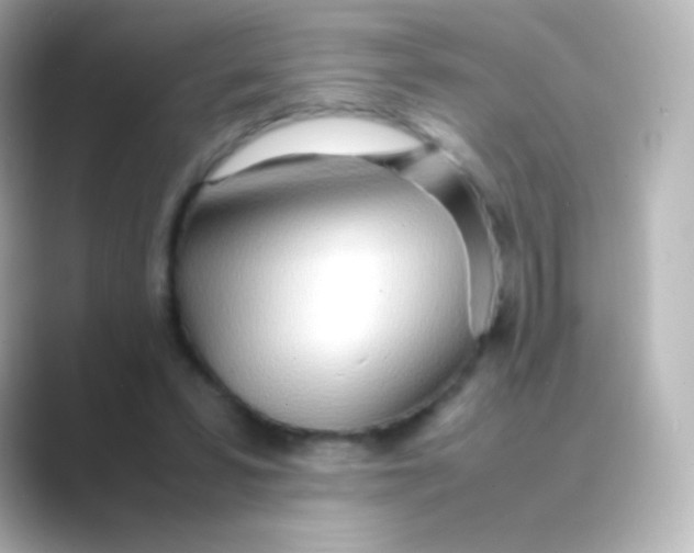 X0000088720399200706212024