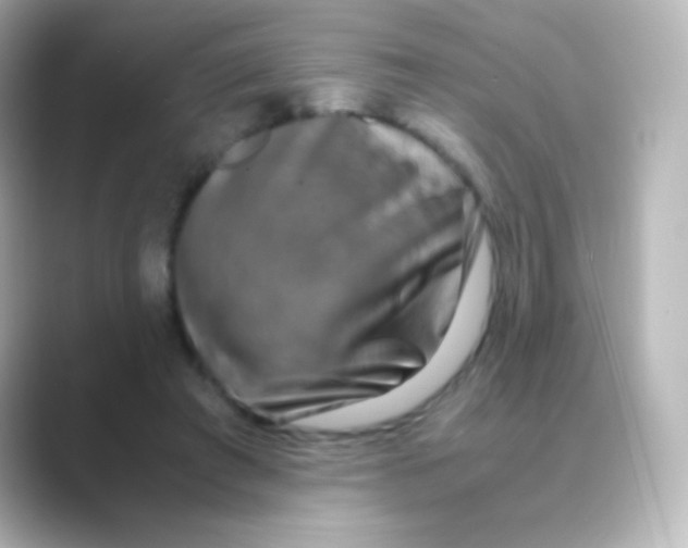 X0000088720401200706212024