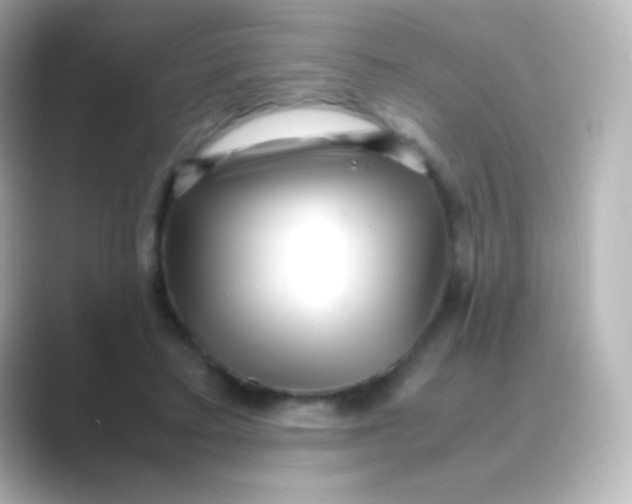 X0000088720403200706212024