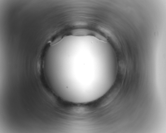 X0000088720404200706212024