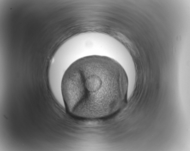 X0000088720405200706212024